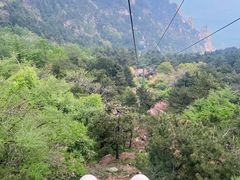 -泰山风景名胜区