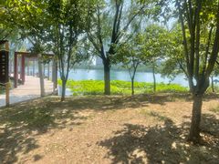 -天鹅湖体育公园