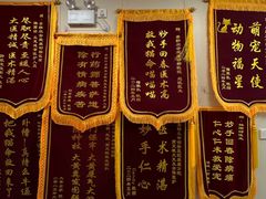 -美联众合爱康动物医院•复杂内科•肿瘤科•牙科•腔镜诊疗中心