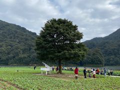 -广州市石门国家森林公园