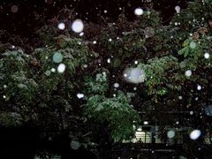 -BOPEYE·波派炸鸡(九霄天地店)