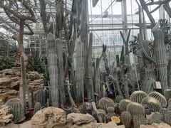 -国家植物园南园