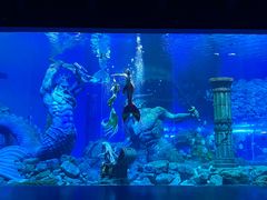 -哈尔滨波塞冬海底世界