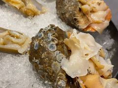 -鼎鼎香·港式火锅(北京SKP店)