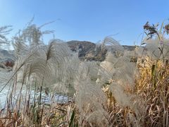 -长广溪湿地公园