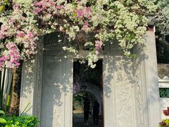 -深圳国际园林花卉博览园