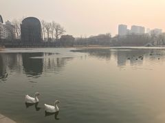 -中国农业博物馆