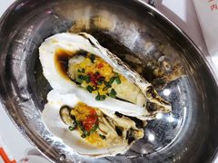 炭烤生蚝-必点海鲜·鲅鱼水饺(鞍山西道店)