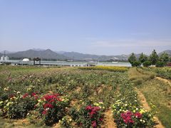 -君乐宝优致牧场