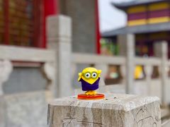 -曹州牡丹园