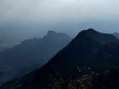 -万达广场(泰安泰山店)