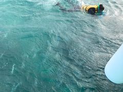-蓝湾海滩