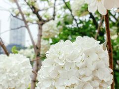 -大龙山(地铁站)