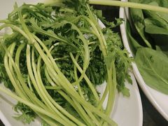 -蒙都43°9羊火锅(平庄店)