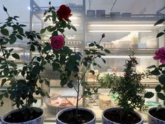 -玛尔哈巴·塔塔尔糕点(华侨小区店)