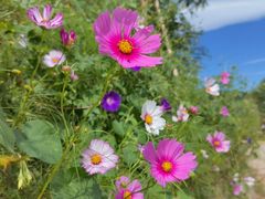 -北京西山国家森林公园