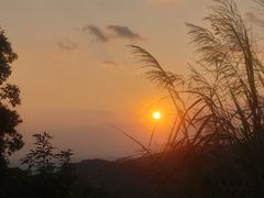 -阳台山森林公园