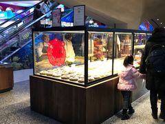 面包甜点陈列柜-LELECHA乐乐茶(上海五角场万达广场店)