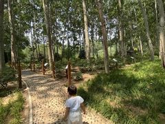 -仁和公园(顺义区)