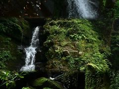 -碧峰峡风景区