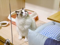 -Double Rui宠物酒店