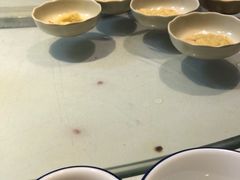 -南海鸽天下(肇庆店)