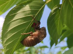 -羊亭河湿地公园