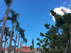 iphone_upload_pic-海口喜来登酒店