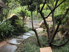 -七彩云南古滇温泉山庄