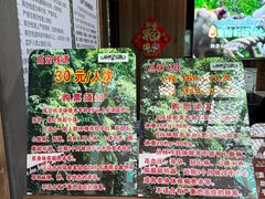 -西双版纳原始森林公园