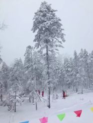 -大秃顶子山