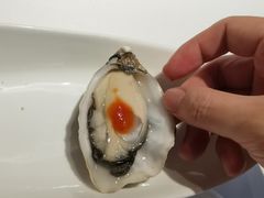 -Oyster Talks 四度蚝法餐厅