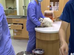 -联合动物医院(光谷诊疗中心)