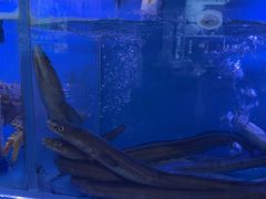 -臻悦海宴.家宴(奥体中心店)