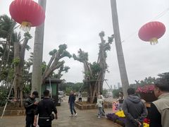 -万绿园