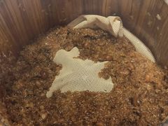 -素满香·食养自助(建邺万达店)