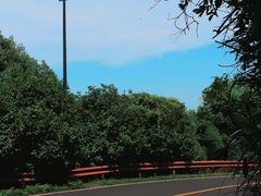 -宝界山林公园