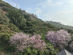 -小南山公园