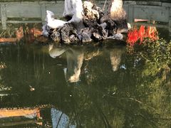 -宝通禅寺