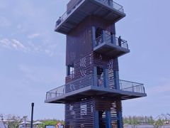 -春花秋色城市公园