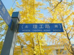-大连理工大学(凌水校区)