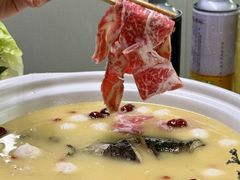 -金龙·打边炉(南京西路店)