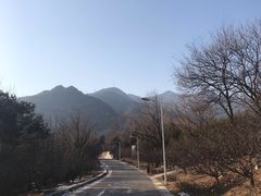 -北京鹫峰国家森林公园