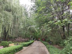 -廊坊市自然公园