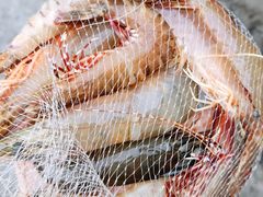 -龙溪海鲜酒家(溪涌店)