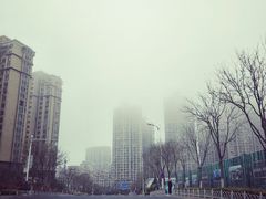 -胶州湾海底隧道