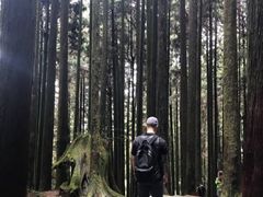 -帽儿山国家森林公园