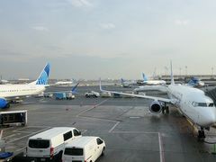 -纽瓦克自由国际机场