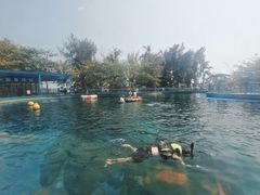 -亚龙湾海底世界