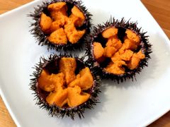 -海胆小馆(东北水饺·春柳店)